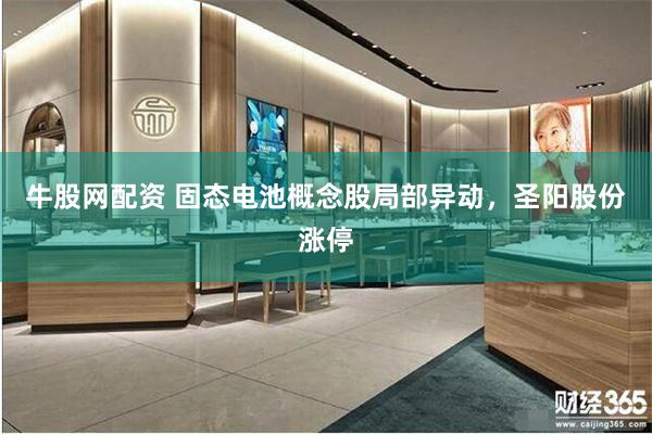 牛股网配资 固态电池概念股局部异动，圣阳股份涨停