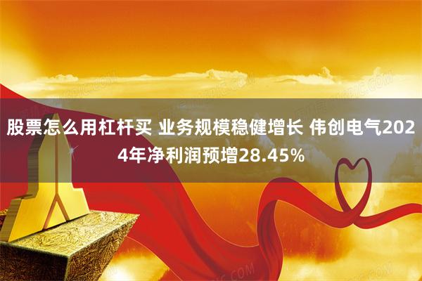 股票怎么用杠杆买 业务规模稳健增长 伟创电气2024年净利润预增28.45%