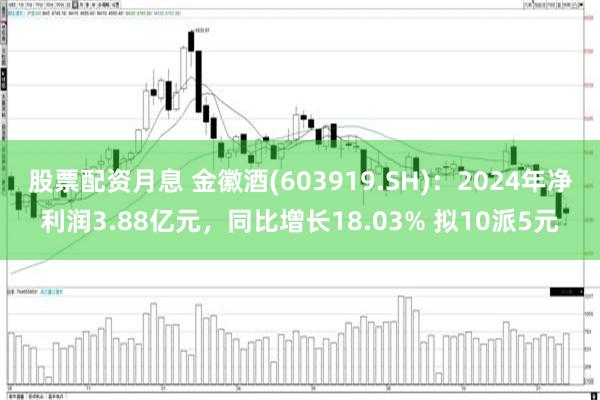 股票配资月息 金徽酒(603919.SH)：2024年净利润3.88亿元，同比增长18.03% 拟10派5元