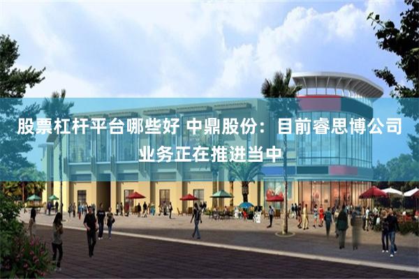 股票杠杆平台哪些好 中鼎股份：目前睿思博公司业务正在推进当中