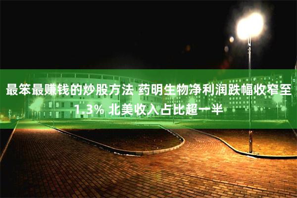 最笨最赚钱的炒股方法 药明生物净利润跌幅收窄至1.3% 北美收入占比超一半