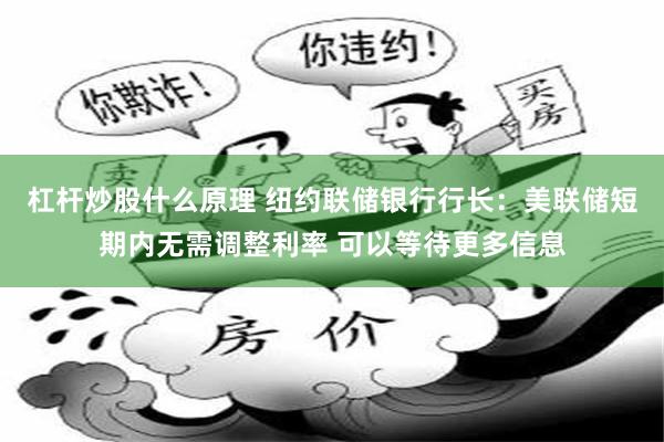 杠杆炒股什么原理 纽约联储银行行长：美联储短期内无需调整利率 可以等待更多信息