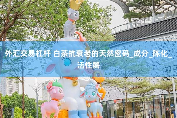 外汇交易杠杆 白茶抗衰老的天然密码_成分_陈化_活性酶
