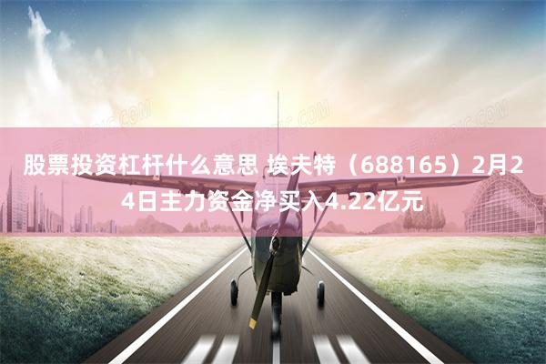 股票投资杠杆什么意思 埃夫特（688165）2月24日主力资金净买入4.22亿元