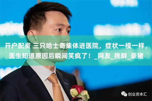 开户配资 三只哈士奇集体进医院，症状一模一样，医生知道原因后瞬间笑疯了！_网友_挑衅_豪猪
