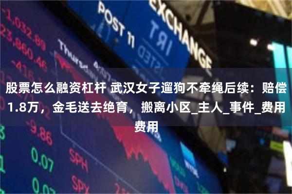 股票怎么融资杠杆 武汉女子遛狗不牵绳后续：赔偿1.8万，金毛送去绝育，搬离小区_主人_事件_费用