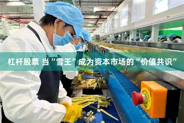 杠杆股票 当“雪王”成为资本市场的“价值共识”