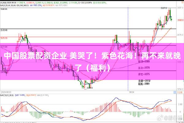 中国股票配资企业 美哭了！紫色花海！再不来就晚了（福利）
