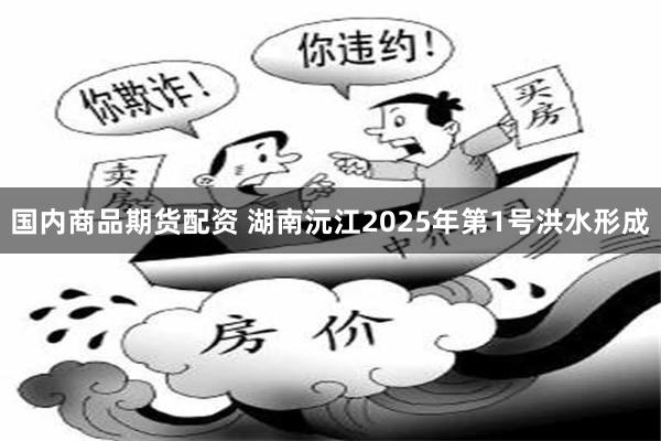国内商品期货配资 湖南沅江2025年第1号洪水形成