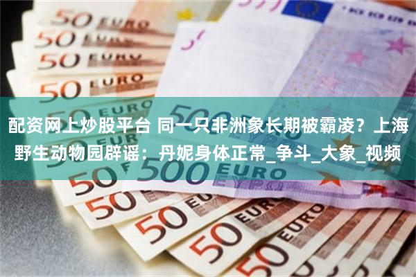 配资网上炒股平台 同一只非洲象长期被霸凌？上海野生动物园辟谣：丹妮身体正常_争斗_大象_视频