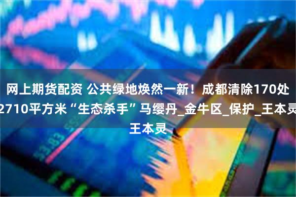 网上期货配资 公共绿地焕然一新！成都清除170处2710平方米“生态杀手”马缨丹_金牛区_保护_王本灵