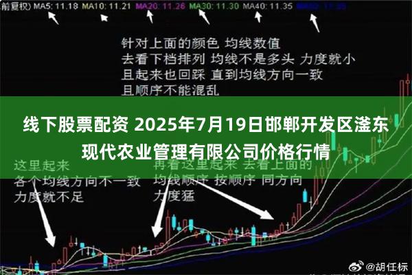 线下股票配资 2025年7月19日邯郸开发区滏东现代农业管理有限公司价格行情