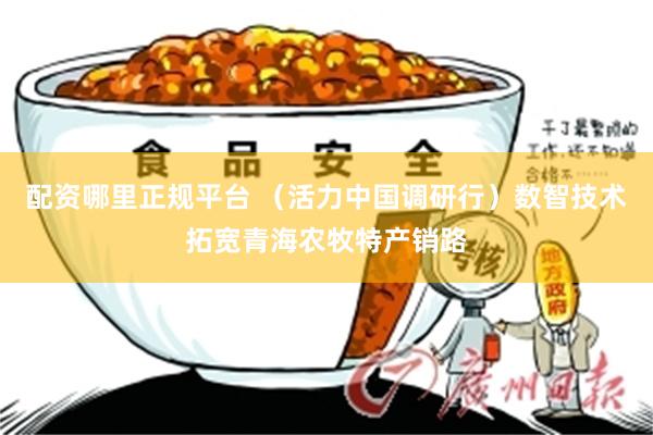 配资哪里正规平台 （活力中国调研行）数智技术拓宽青海农牧特产销路