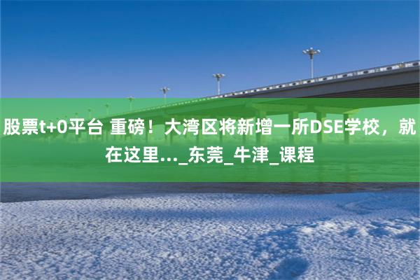股票t+0平台 重磅！大湾区将新增一所DSE学校，就在这里..._东莞_牛津_课程