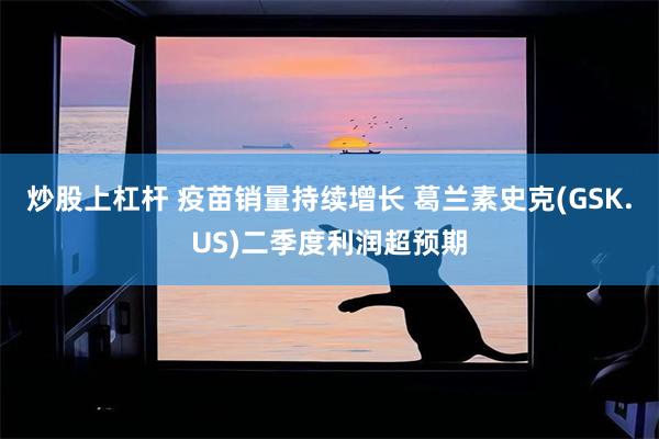 炒股上杠杆 疫苗销量持续增长 葛兰素史克(GSK.US)二季度利润超预期