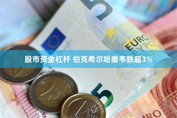 股市资金杠杆 伯克希尔哈撒韦跌超3%