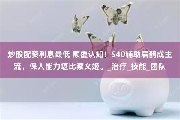 炒股配资利息最低 颠覆认知！S40辅助扁鹊成主流，保人能力堪比蔡文姬。_治疗_技能_团队