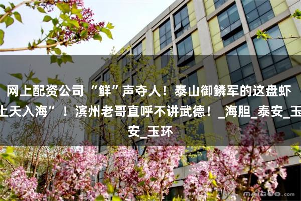 网上配资公司 “鲜”声夺人！泰山御鳞军的这盘虾 “上天入海” ！滨州老哥直呼不讲武德！_海胆_泰安_玉环