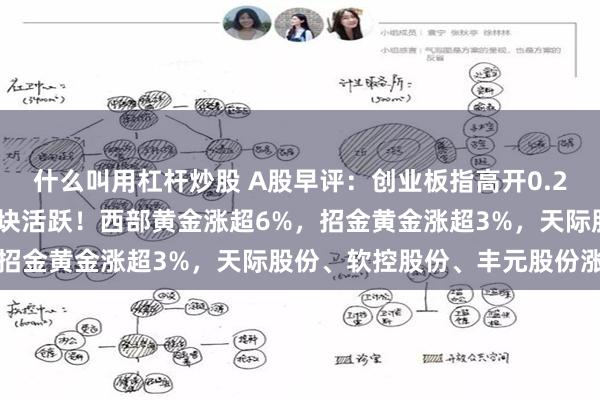 什么叫用杠杆炒股 A股早评：创业板指高开0.21%，贵金属、养殖业板块活跃！西部黄金涨超6%，招金黄金涨超3%，天际股份、软控股份、丰元股份涨停